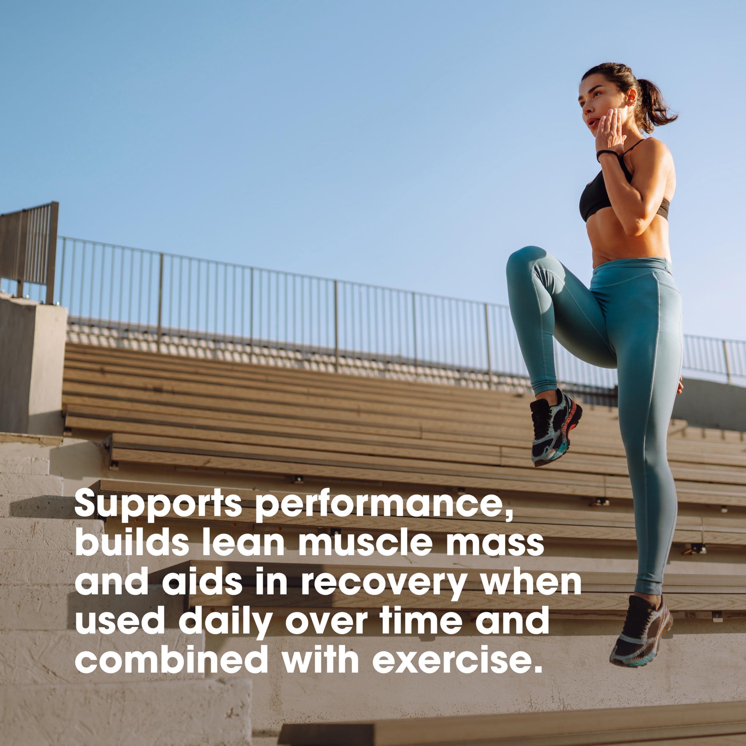 Optimum Nutrition Optimum Nutrition Micronized Creatine Powder 300 g