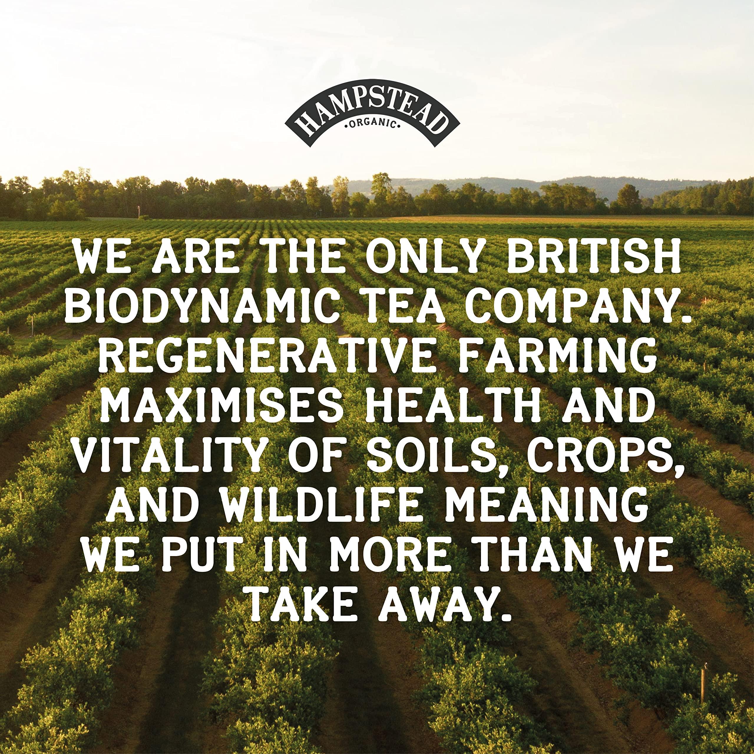 Hampstead Tea Hampstead Organic Earl Grey Loose Tea Pouch 100 g (Pack of 6) | Plastic Free | 100% Organic