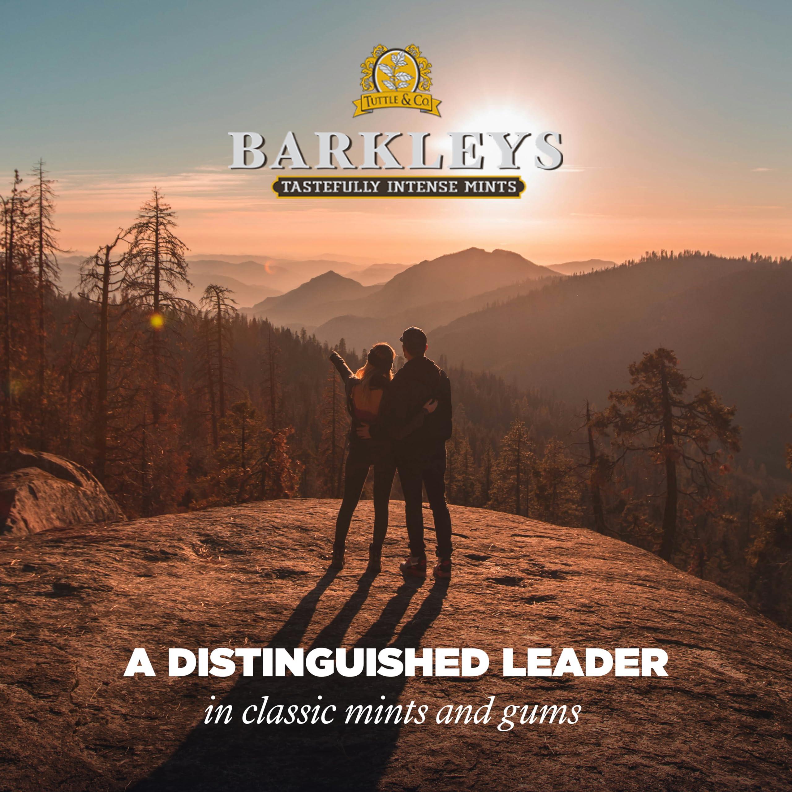 Barkleys Barkleys Sugar Free Chewing Gum with Cinnamon Gum 9 x 30 g