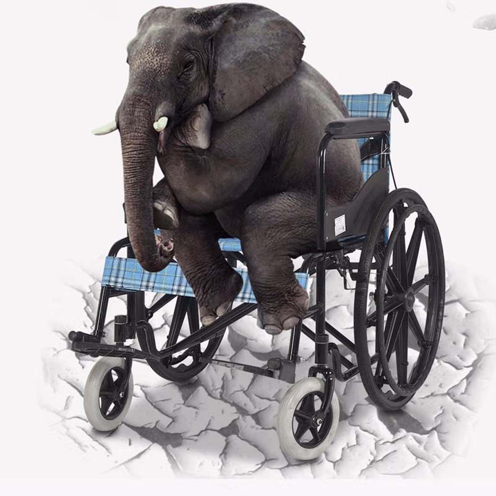 FreshCart Basics Heavy Duty Extra-Wide Wheelchair for Adults - 20 Seat, 418 lbs Weight Capacity - Folding Transport Chair with Full Arms & Swing-Away Footrests