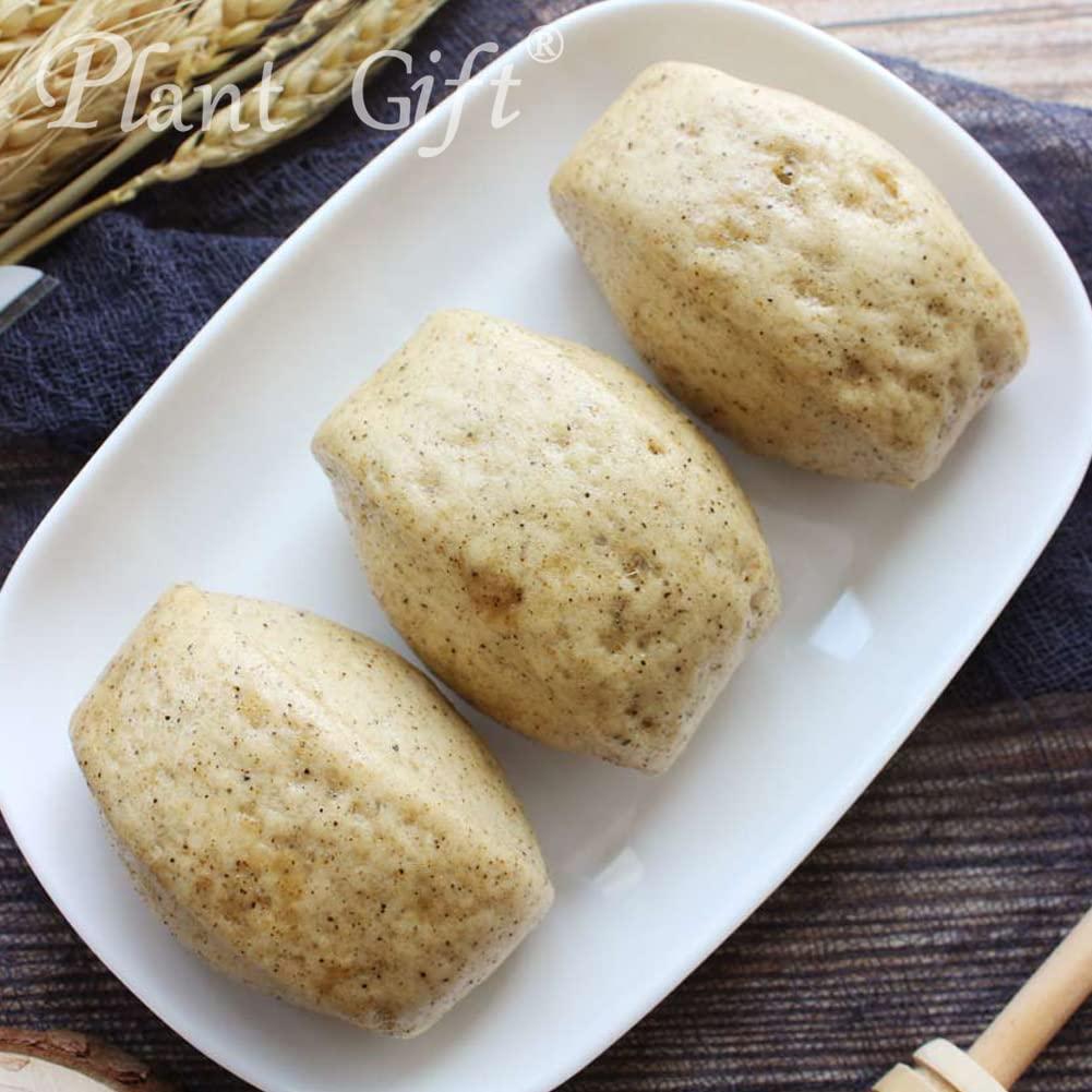 Plant Gift Plant Gift 100% Pure Black Bean Powder Natural Meal Powder, Great Flavor for Drinks, Smoothie and Beverages, Non-GMO Powder - No Filler, No additives, Yogurt and More 100G/3.25oz