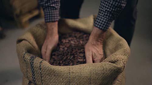 firetree Firetree, Tasting Gift Box (7 x 25g bars)