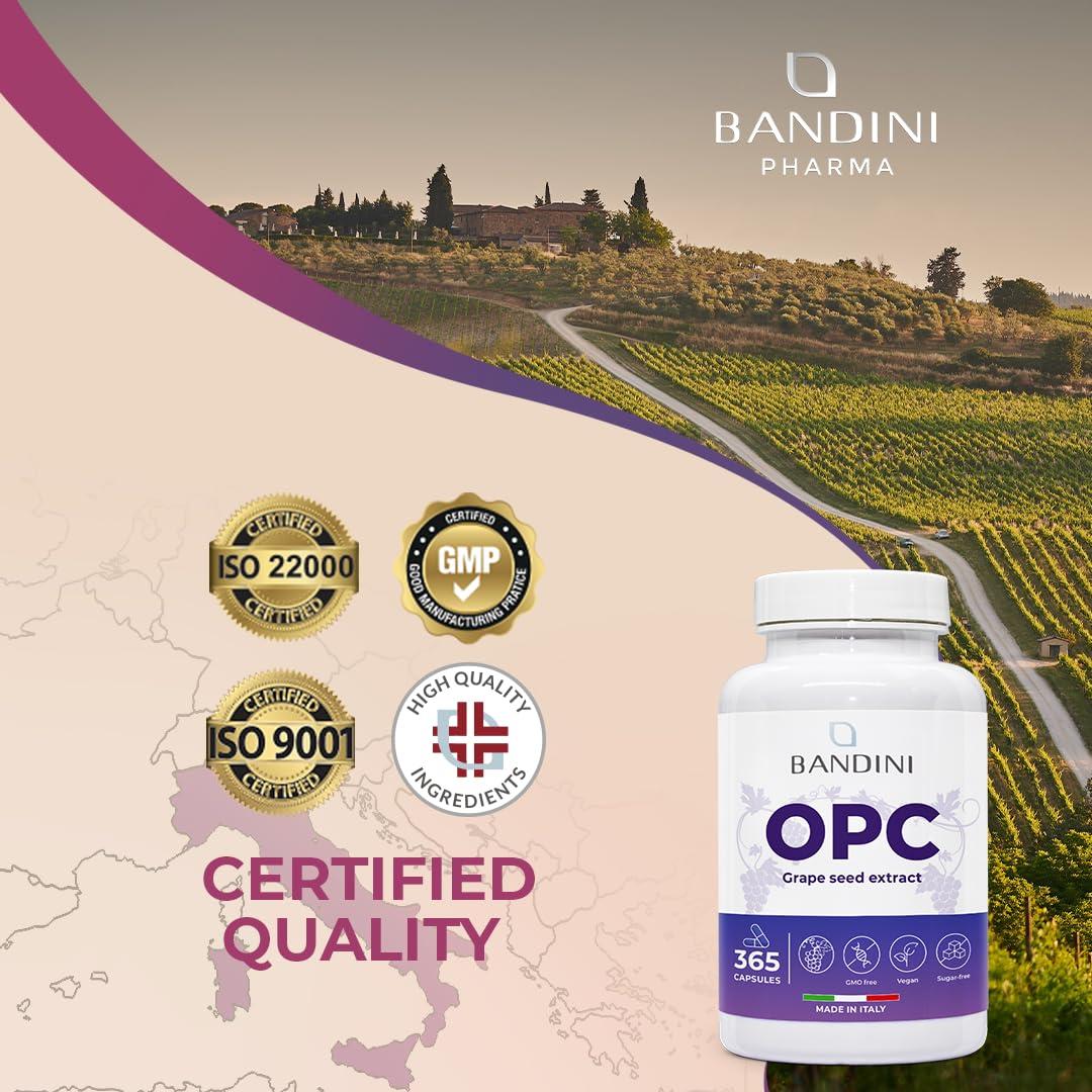 BANDINI Bandini OPC Supplement (95%) Grape Seed Extract | 1076mg OPC + Vitamin C | 365 Capsules | High Strength Antioxidant | Pure Oligomeric Proanthocyanidin 95% from Italian Grapes | Highest HPLC Content