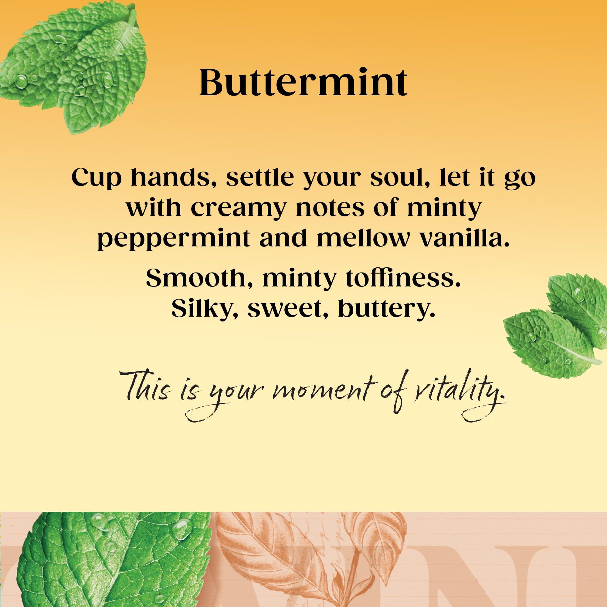 Twinings Twinings Buttermint Flavoured Tea Bags - 80 Biodegradable Tea Bags (Multipack of 4 x 20) , Smooth & Creamy Herbal Infusion, Perfect for Relaxation, Caffeine-Free