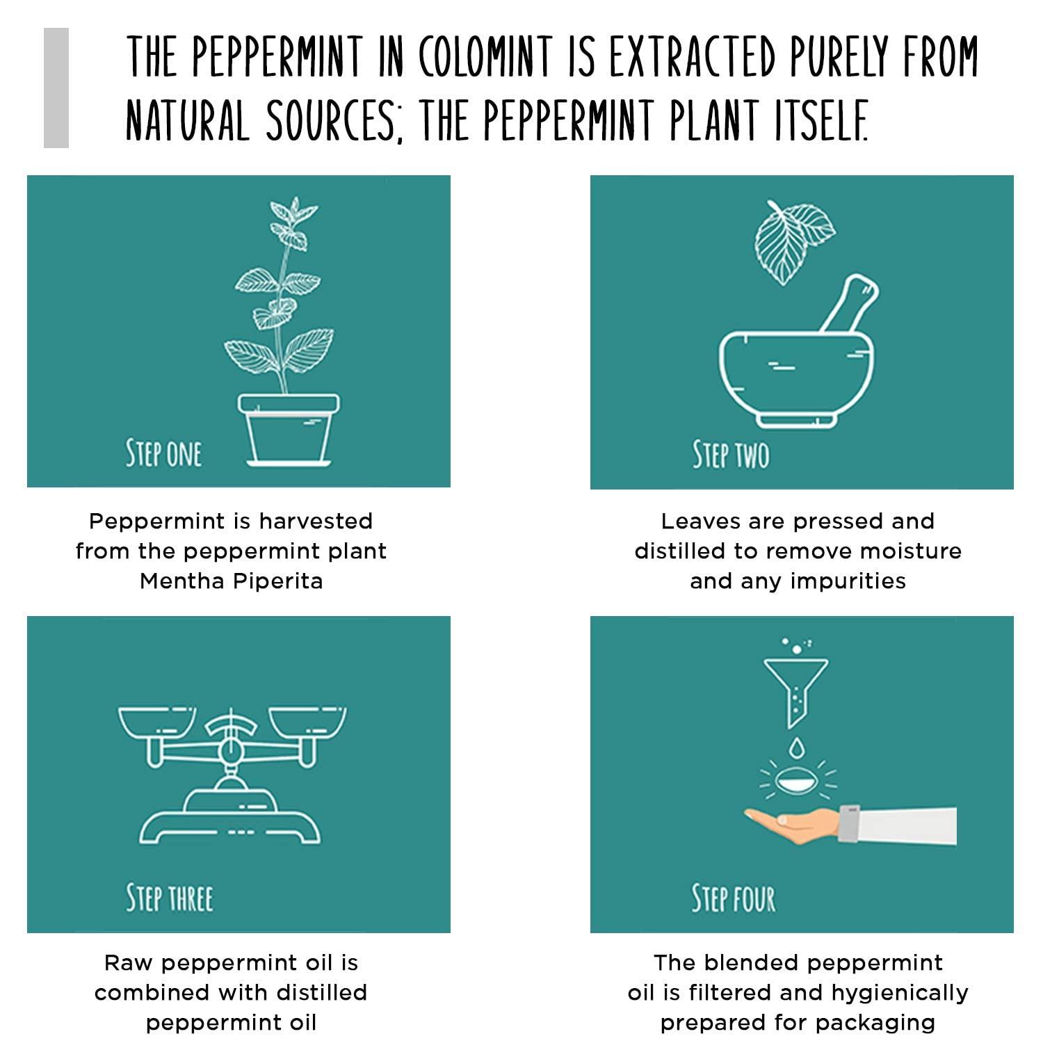COLOMINT Colomint Peppermint Oil Capsules - for IBS Relief, Bloating, Tummy Pain and Healthy Digestion - 84 Gastro-Resistant Capsules (0.2ml Each), Natural Soothing Mint, Sealed in Hygienic Blister Strips