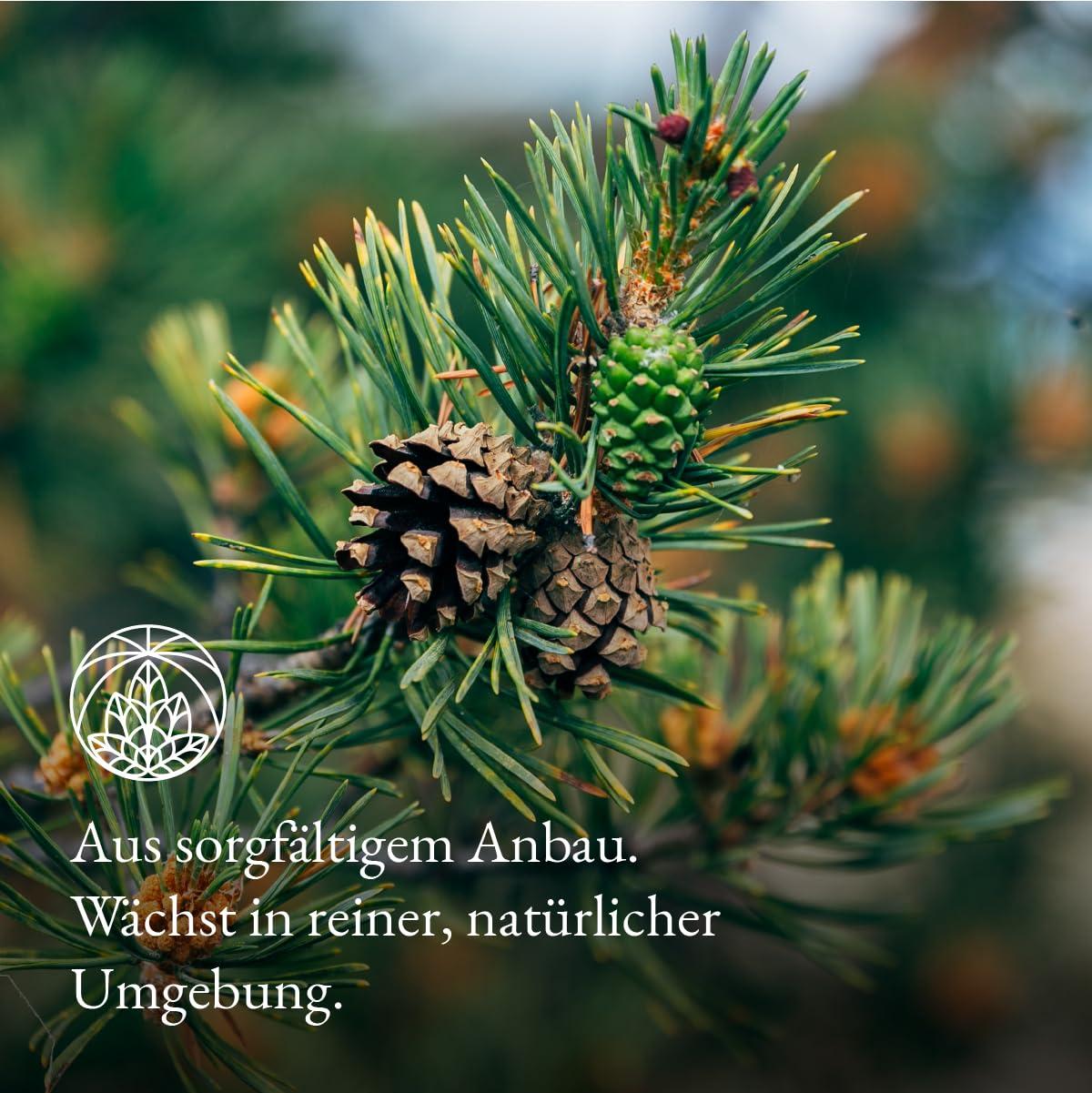 Monte Nativo Pine Needle Tea Monte Nativo (300g) - Pine needles for the most delicious cup - Aromatic and 100% Pure and Natural Loose Leaf Herbal Tea Without Additives - As a healthy, refreshing infusion