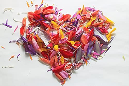 schwerinernaturheil schwerinernaturheil Warming scented cushion with notes