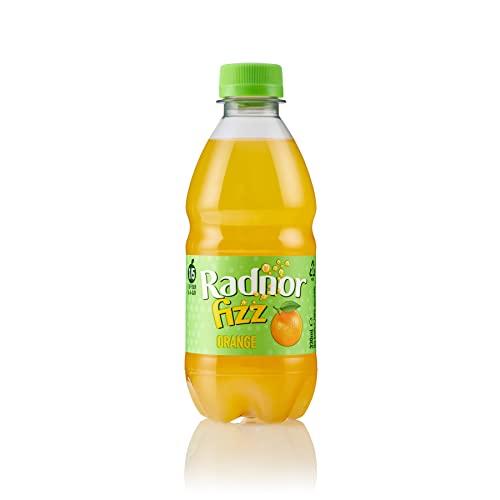 Radnor Hills Radnor Fizz Mixed Case - Six Flavours Incl Tropical & Forest Fruits - 12x330ml