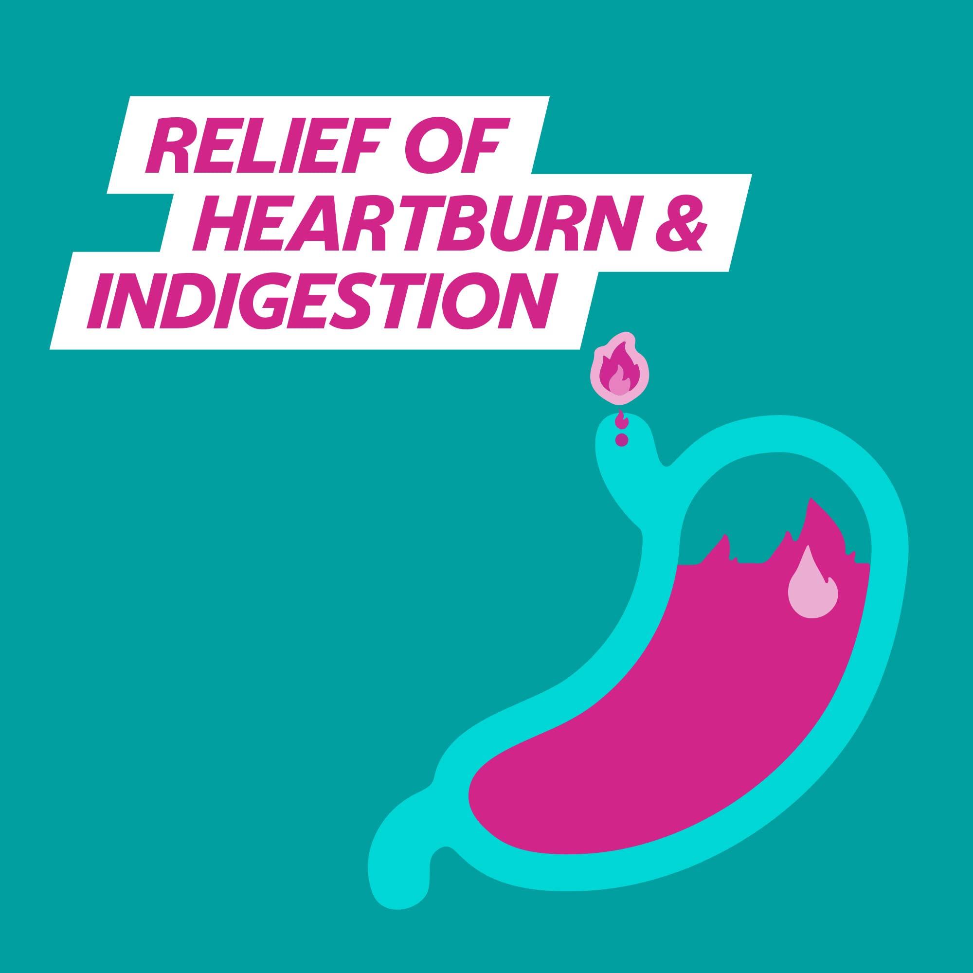 Gaviscon Gaviscon Double Action Heartburn and Indigestion Tablets, Mint Flavour, Pack of 4 x 24 Tablets, Total 96 Tablets