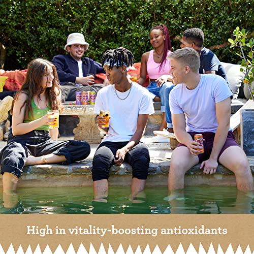 Rubro Rubro - Lemon Rooibos - 6 Can Multipack - 300ml - Still, Soft Drink - Lemon Tea Drink - Fruit Flavoured Iced Tea - Bulk Soft Drinks