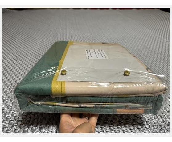 LIJBN Walking Aid Bionic Body Power Walking Aids, Stroke Rehabilitation for Leg Single Walker Assisted Walking Hemiplegia Training Exercise Boosting Leg Lift Climbing Aid Equipme