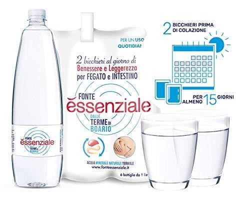 ESSENZIALE 12 Bottles Essential Mineral Water Natural 1 lt. Rich in Magnesium