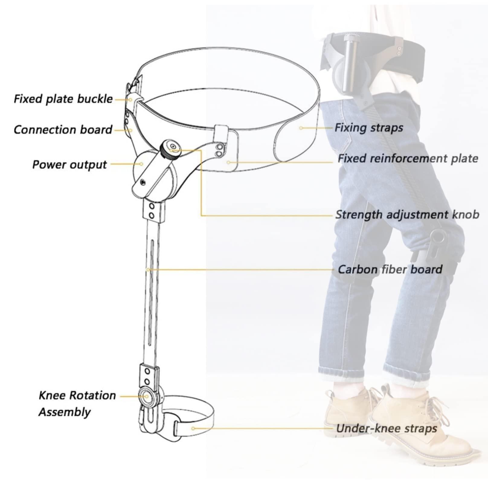 BiiKoon Walking Aid Bionic Body Power Walkers Leg Rehabilitation Training Assisted Lower Limb Mobility Standing Walking Aids for Postoperative Non-powered (Color : Both legs, Size : L)