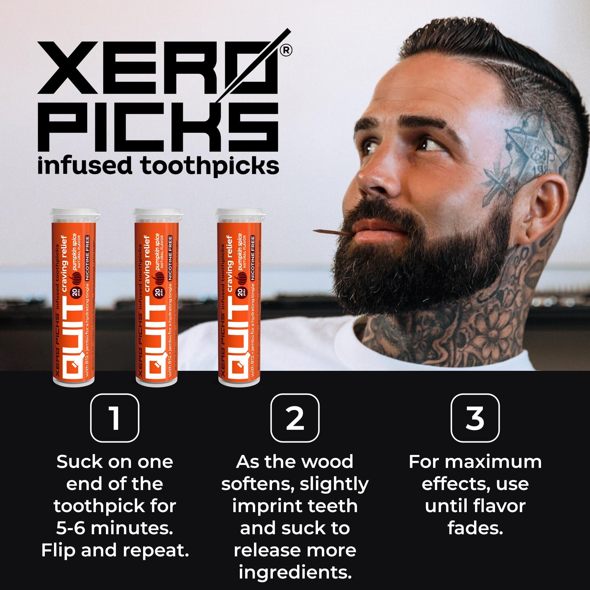 Xero Picks Xero Picks Quit Infused Flavored Toothpicks - Craving Relief (3 Pack of 20 Picks per, Pumpkin Spice) Non-GMO Kosher Vegan