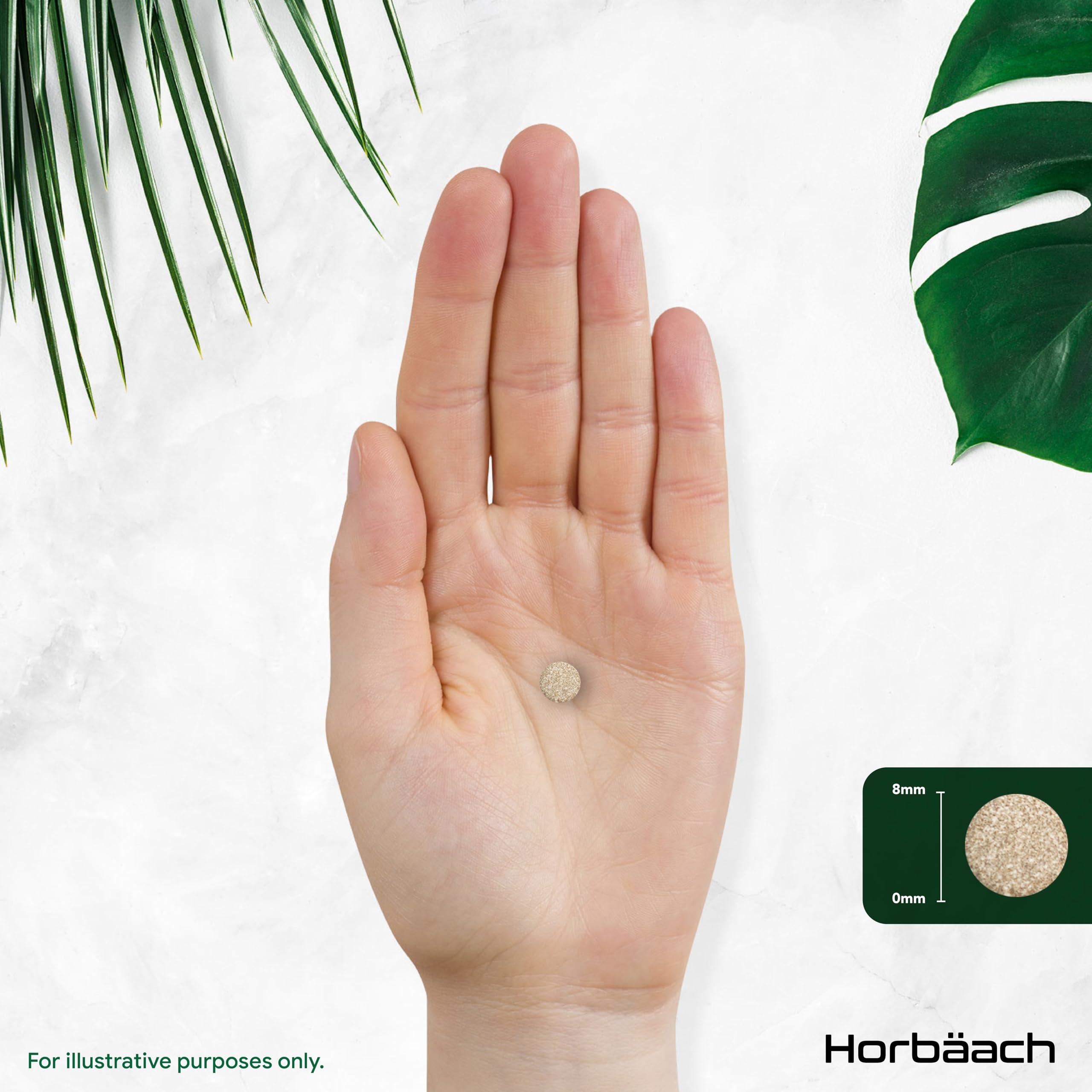 Horbach Ginkgo Biloba and Korean Ginseng Tablets | High Strength | Ginkgo 9000mg & Ginseng Root 3000mg | 180 Vegan Tablets | by Horbaach