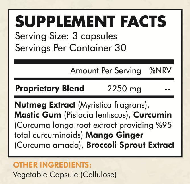 GoodGut Nutrition Pylopurge - Herbal Treatment for H Pylori (90 Capsules)