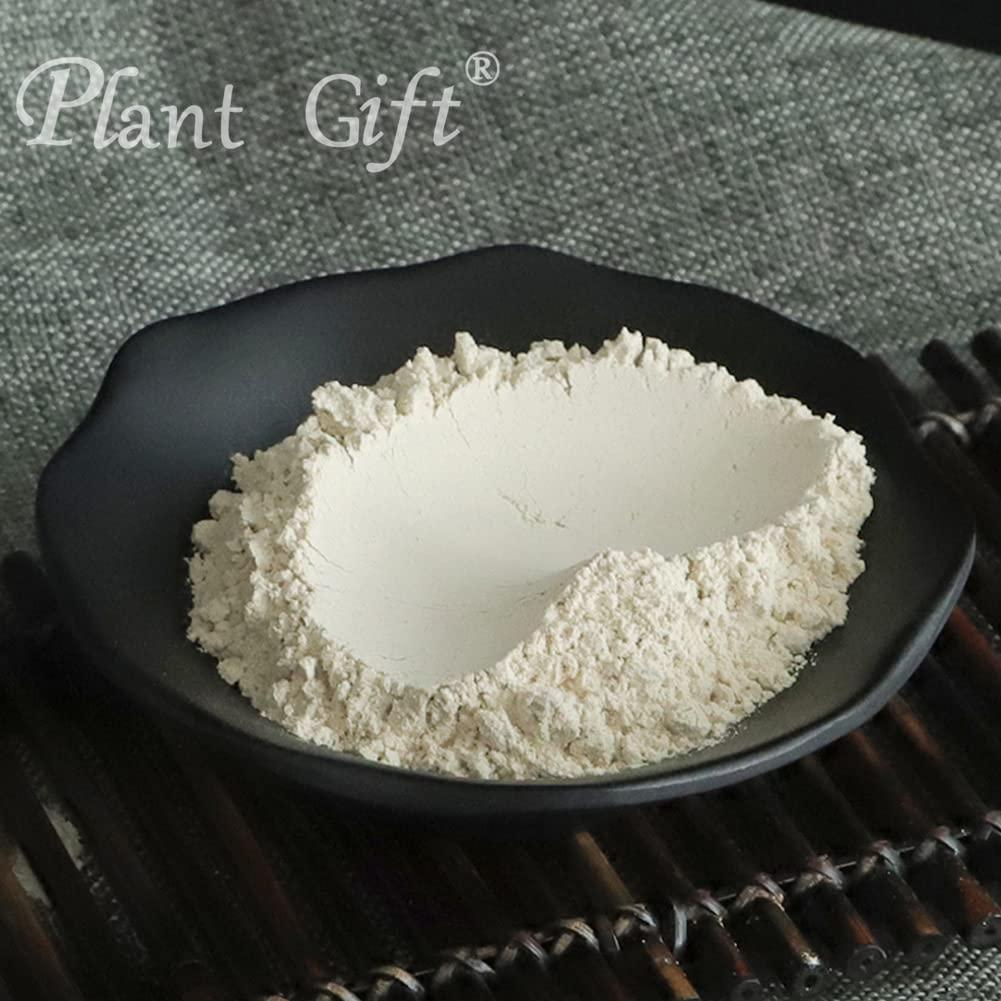 Plant Gift Plant Gift 100% Pure Angelica Dahurica Powder 100G/3.25oz , Non-GMO Powder, No Filler, No additives, Natural Angelica Dahurica Flour, Best Flavor for Drinks, Adds Flavor and Taste