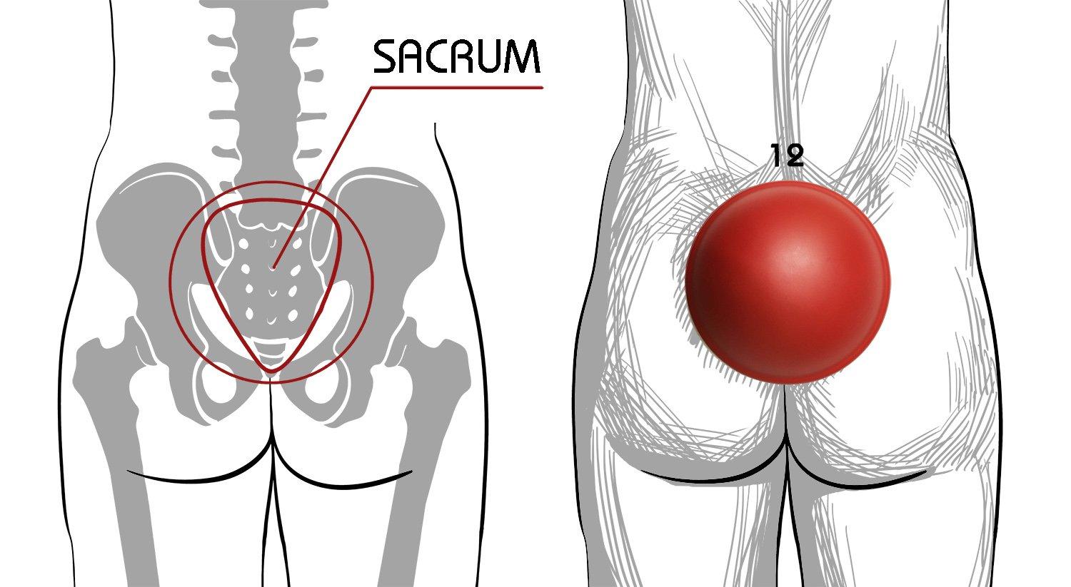 Pelvic Clock Pelvic Clock Exercise Device for Chronic Hip & Lower Back Pain Relief