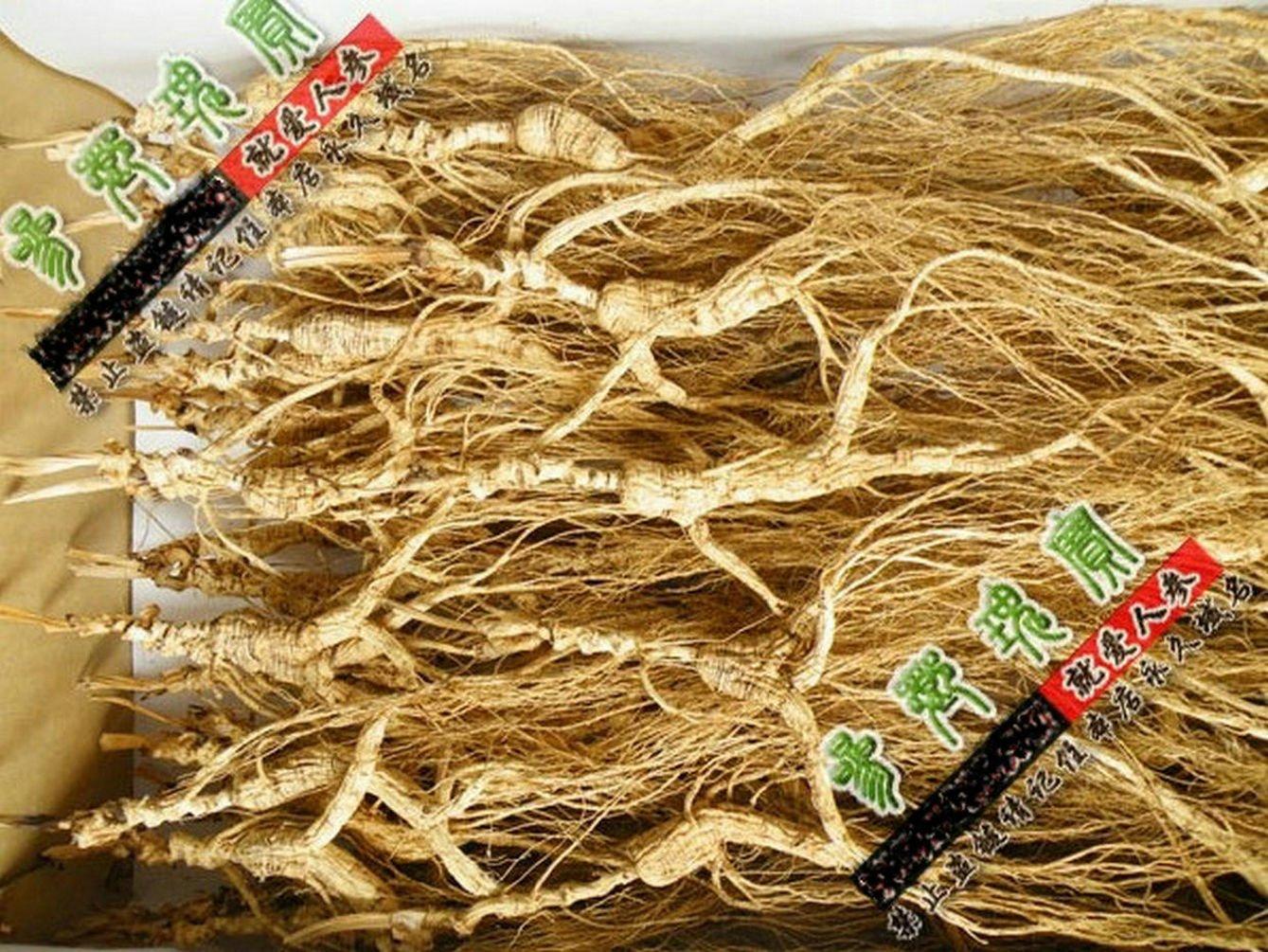 WonderLand Herbs 100 Grams (3.5 oz.) Dry Transplant Wild Ginseng Root Herbs, About 20 Years, Relative Integrity