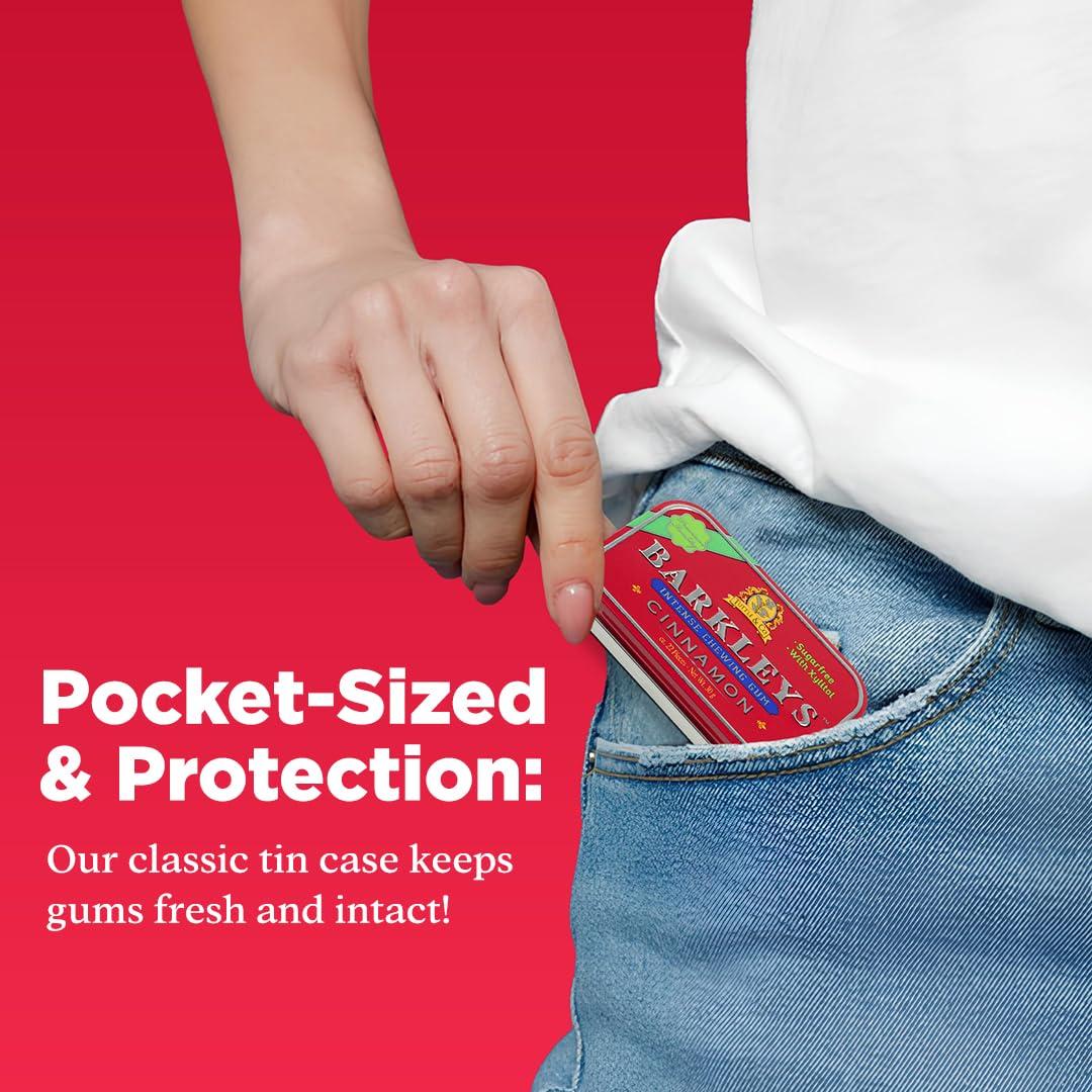 Barkleys Barkleys Sugar Free Chewing Gum with Cinnamon Gum 9 x 30 g