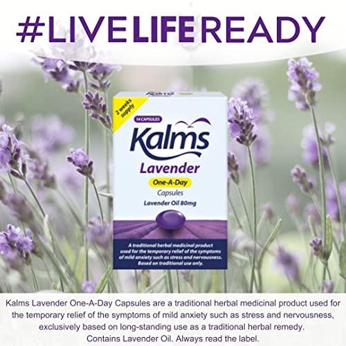 Kalms Kalms Lavender - One-a-Day - 14 Capsules - A Traditional Herbal Medicinal Product Used for The Temporary Relief of The Symptoms of Mild Anxiety Such as Stress and Nervousness (Pack of 2)