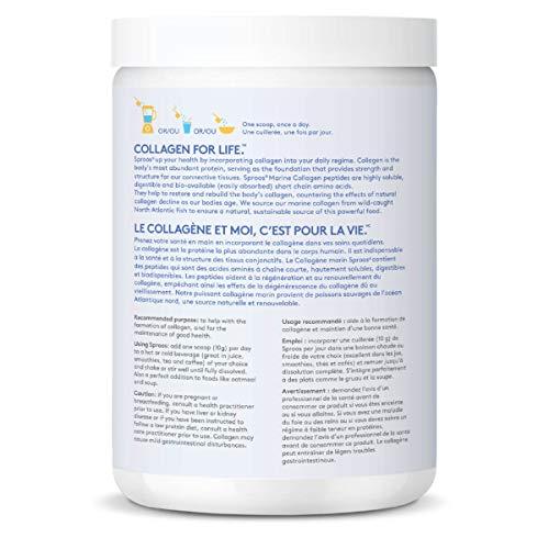 SPROOS SPROOS - Marine Collagen - Beverage Powder - Hydrolised Collagen Peptides - Healthy Hair, Skin & Nails - Unflavoured (No Fishy Taste) - 24-Day Supply - 240 g