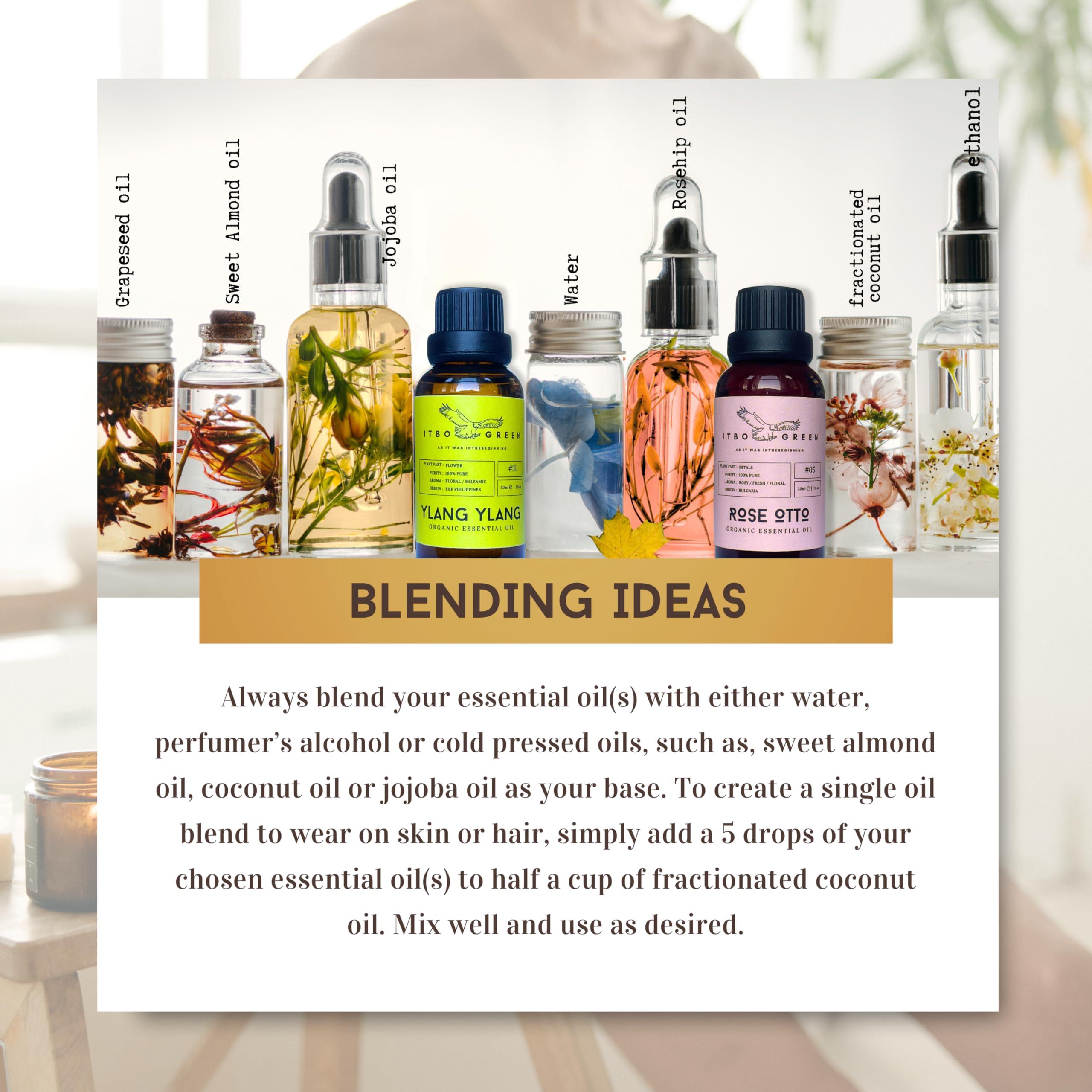 ITBO LONDON Organic Spikenard Essential Oil- Pure Essential Oil for Diffuser- Organic Aromatherapy Oil- Spiritual Awakening, Strength Boost & Confidence- Refreshing Aroma Diffuser Oil- Bath Oil- 30ml/1Oz