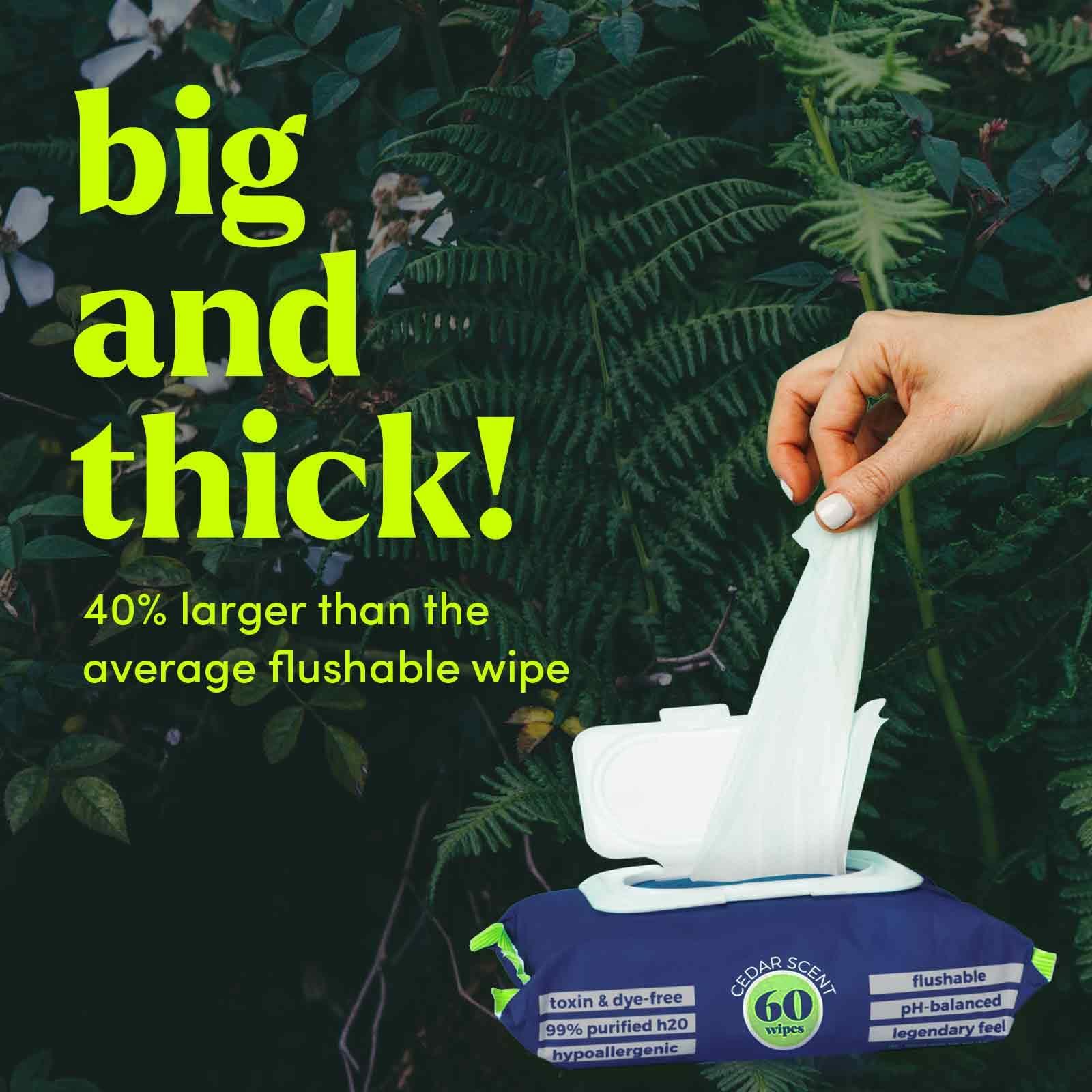 goodwipes Goodwipes Flushable & Biodegradable Wipes with Botanicals, Dispenser for At-Home Use Safe, Shea-Coco with Aloe, Septic and Sewer Safe (4 Variety Scent Pack)