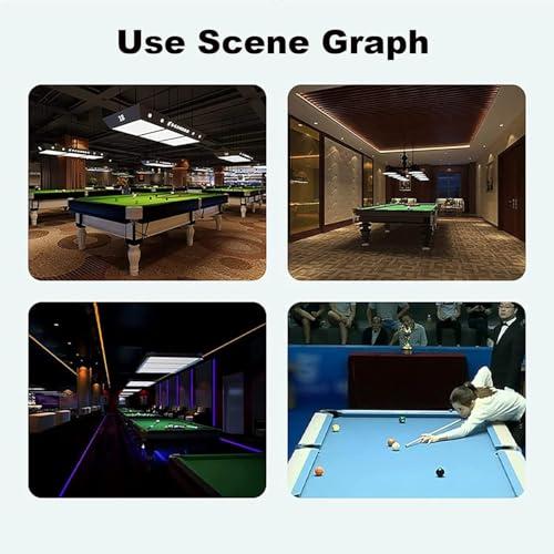 WESLNN WESLNN Billiard Ball Polishing Cleaning Machine, Electronic Ball Clean Machine, 16 Balls Snooker Clean Washing Automatic Pool Ball Cleaner for Chess and Card Entertainment.