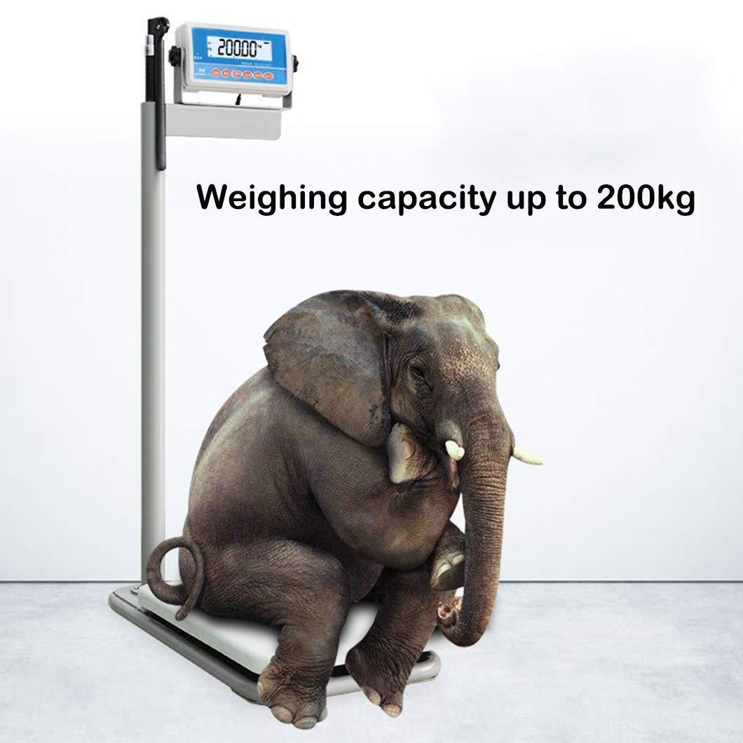 HACSYP Professional Physician Weight Scale - Digital Bathroom Scale, Electronic Medical Scale with Height Rod, For Gym, Hospital(Accuracy 20g)