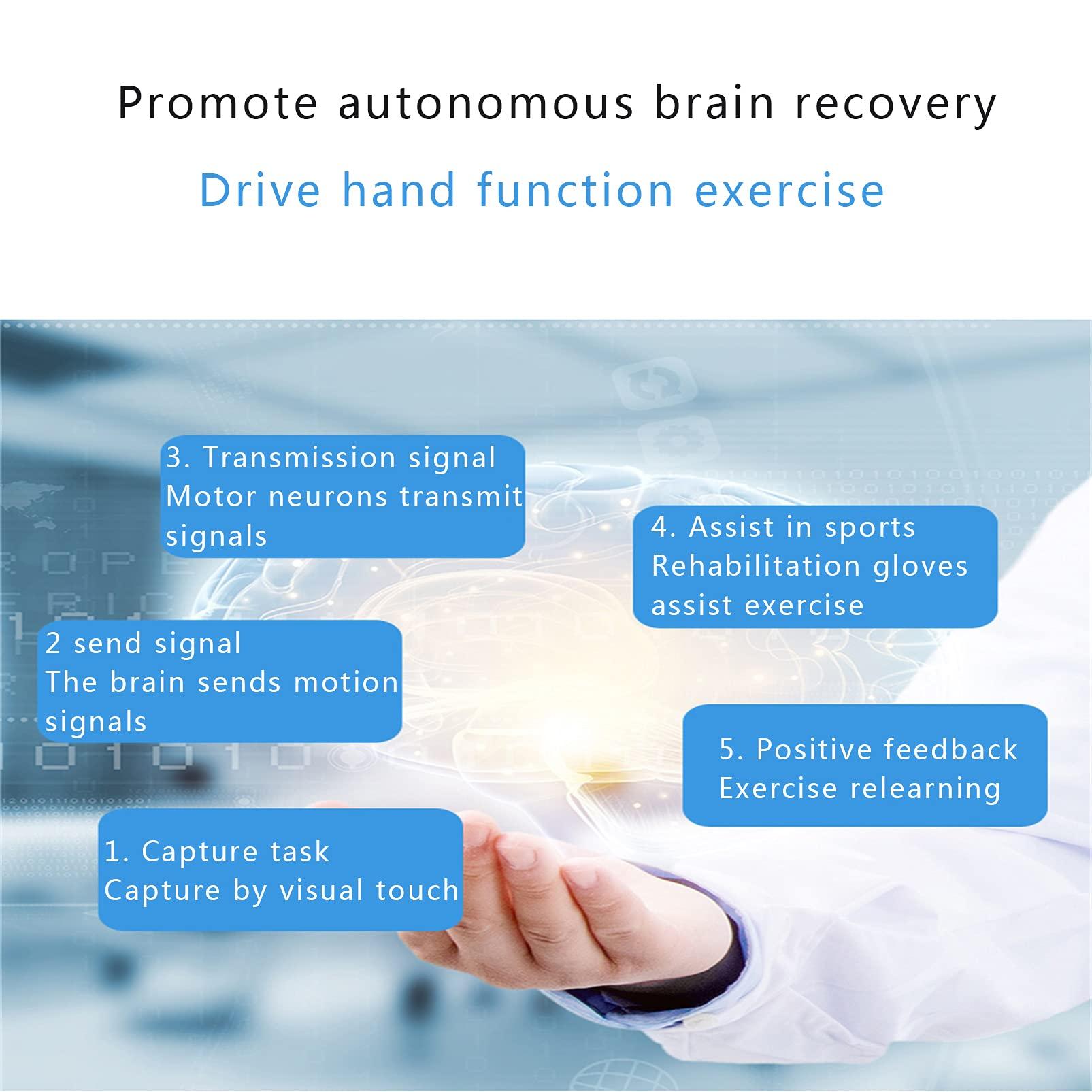 ZZBB ZZBB Rehabilitation Robot Gloves Finger Strengthener Passive Exercise Equipment for Stroke Hemiplegia Finger Wrist Exercise Equipment,Left,M