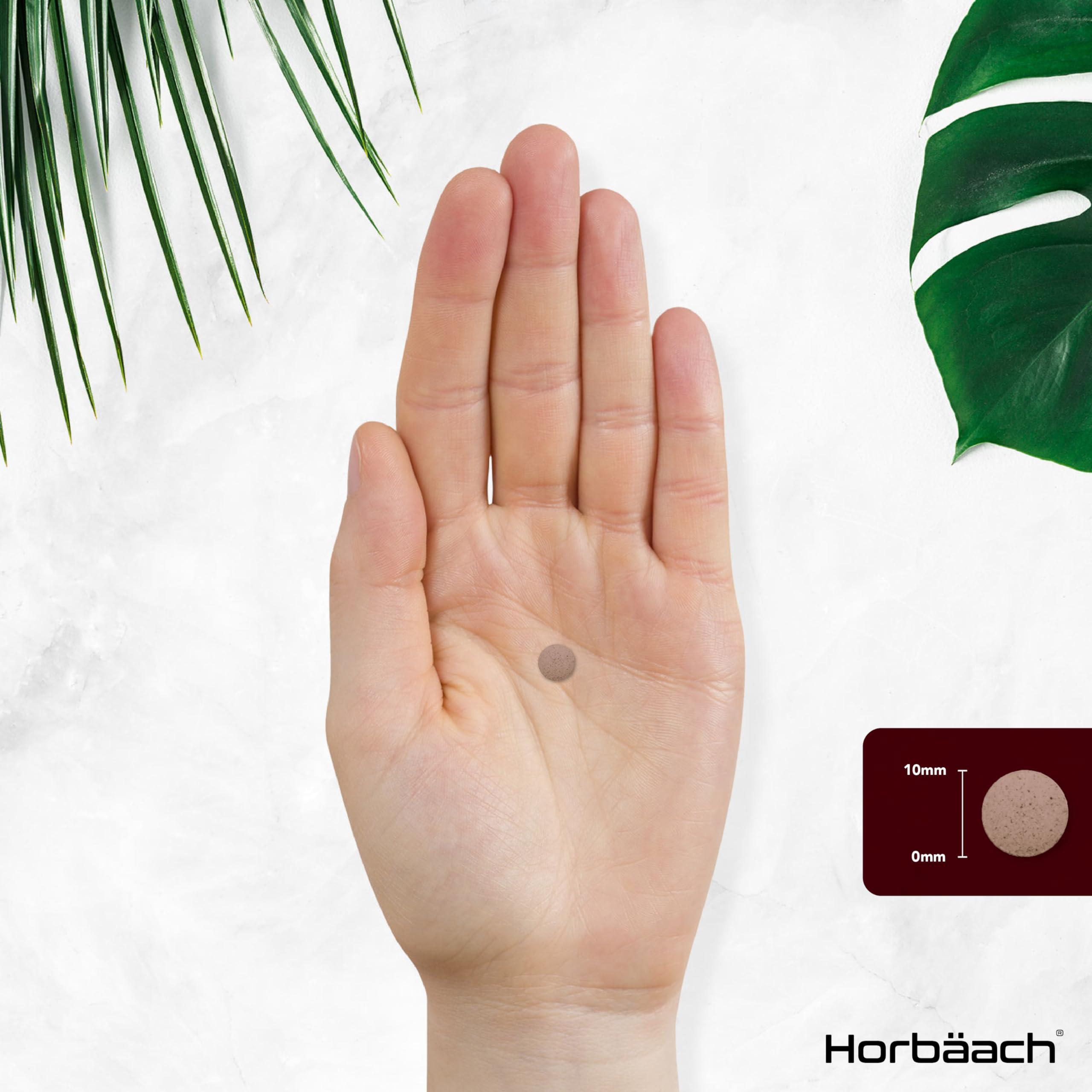 Horbach Red Yeast Rice 1000mg | 120 Vegan Tablets | High Strength Supplement with Monacolin K | No Artificial Preservatives | by Horbaach