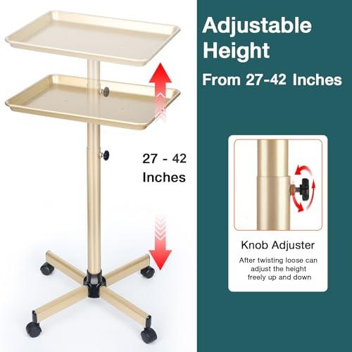 Findabetter Salon Tray, Champagne Gold Salon Tray, Salon Tray Cart with Adjustable Height, Salon Tray on Wheels, Ideal Use As Tattoo Tray&Deantal Tray, No-Rusting