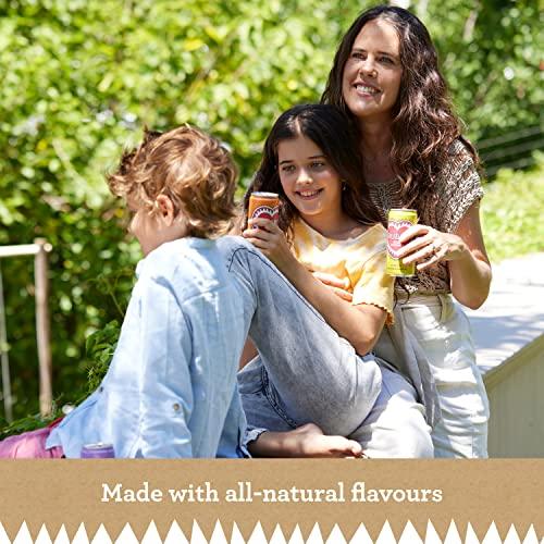 Rubro Rubro - Lemon Rooibos - 6 Can Multipack - 300ml - Still, Soft Drink - Lemon Tea Drink - Fruit Flavoured Iced Tea - Bulk Soft Drinks