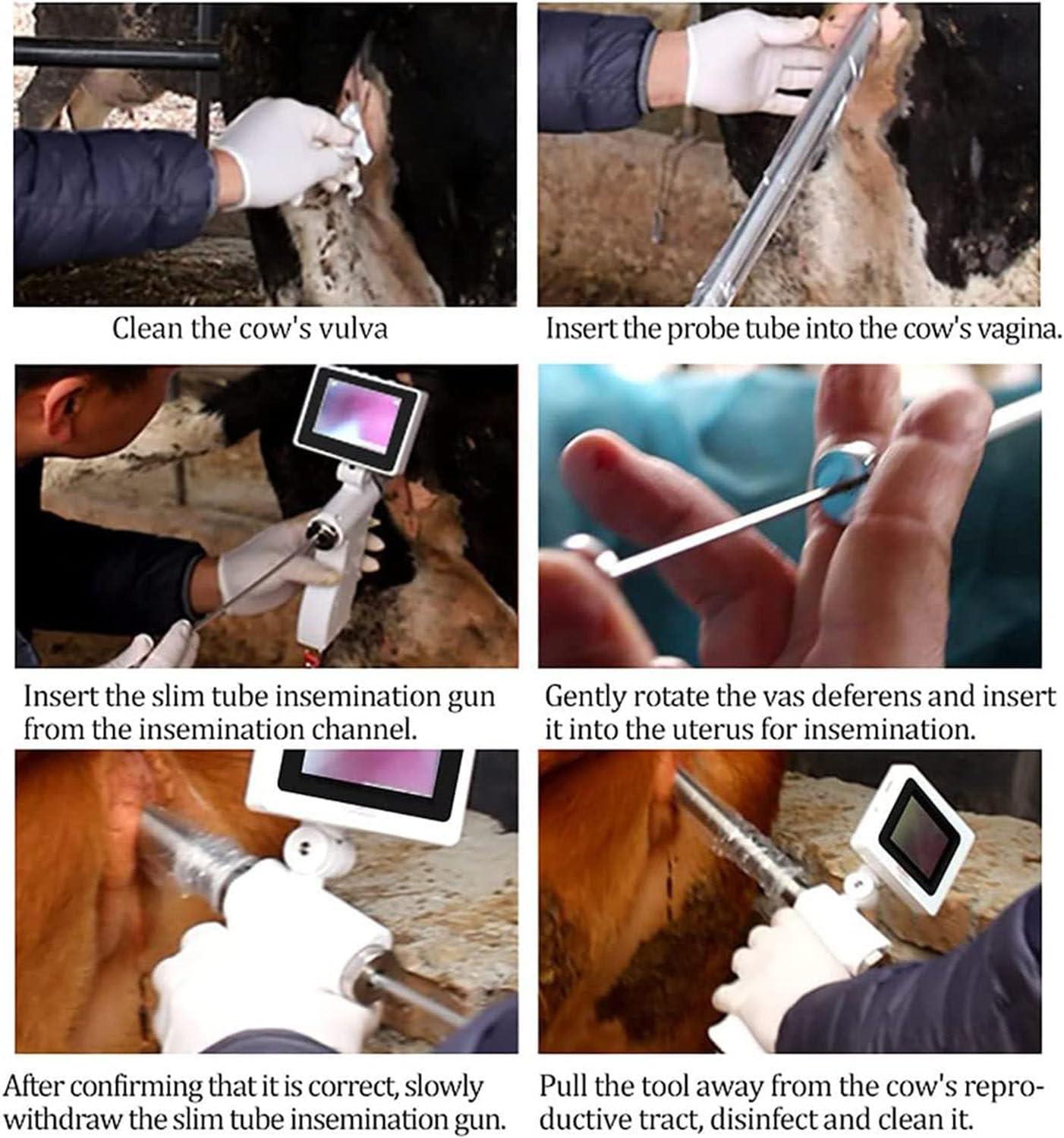 GTANND Artificial Insemination Gun, Cow Visual Endoscope Breeding Kit, With Photo/Videos/Playback Function, 4.3 Inch Camera Rotatable Screen,For Cattle