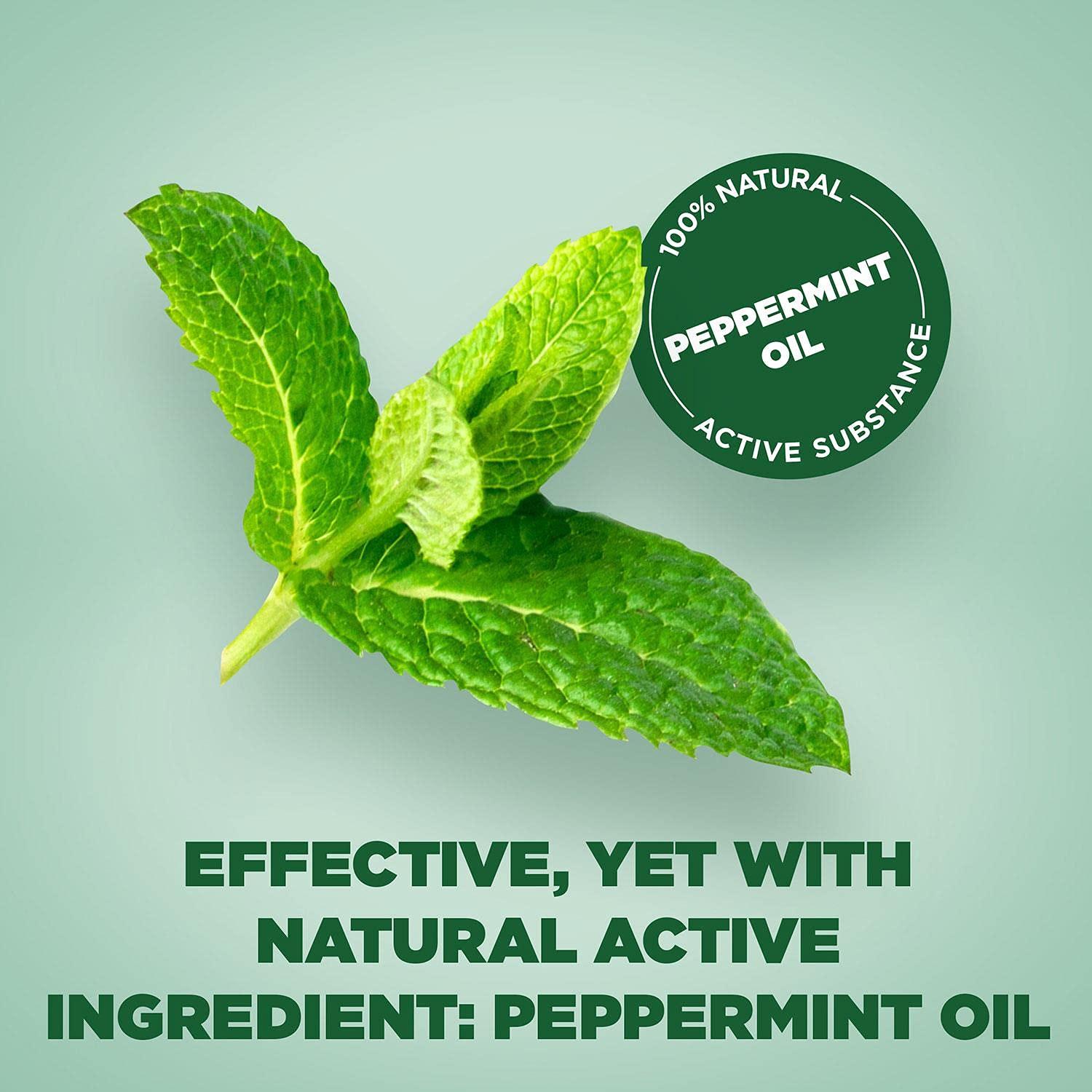 Buscomint 2 Pack of Buscomint Peppermint Oil 0.2ml Gastro Resistant Treatment, 24 Soft Capsules, Treats Painful Spasms, Bloating, and Trapped Wind and Abdominal Pain