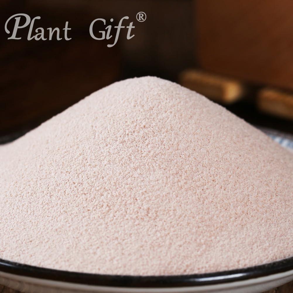 Plant Gift 100% Natural Pure Taro powder 100g/3.52oz Taro Dried Powder for Smoothies, Shakes, Baking & Drinks,| Free from Preservatives, No Added Sugar
