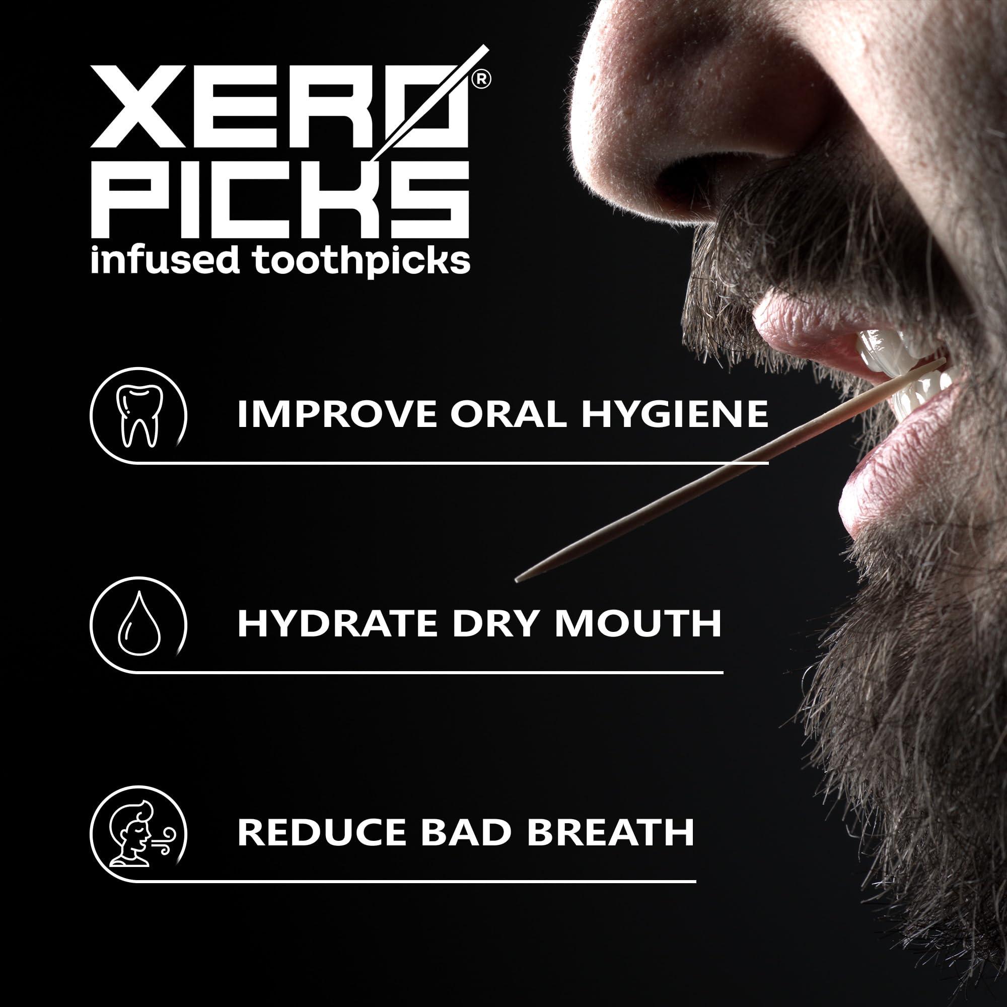 Xero Picks Xero Picks Quit Infused Flavored Toothpicks - Craving Relief (3 Pack of 20 Picks per, Pumpkin Spice) Non-GMO Kosher Vegan