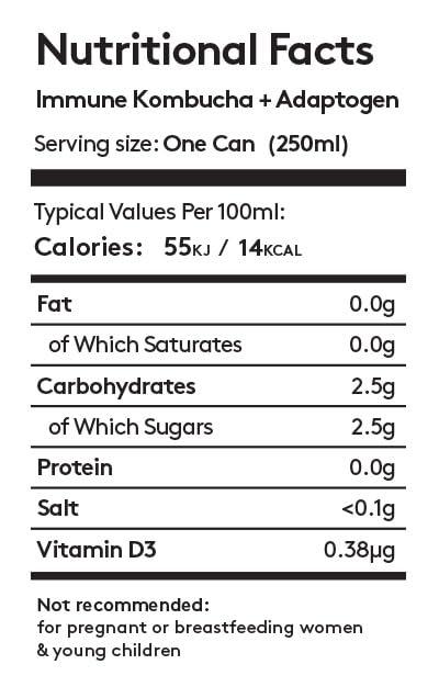 No 1 Living One Living Plus Immune Kombucha Drink - Ginger 24x 250ml Cans - Authentically Brewed Kombucha with Live Cultures - Added Reishi Mushroom and Vitamin D