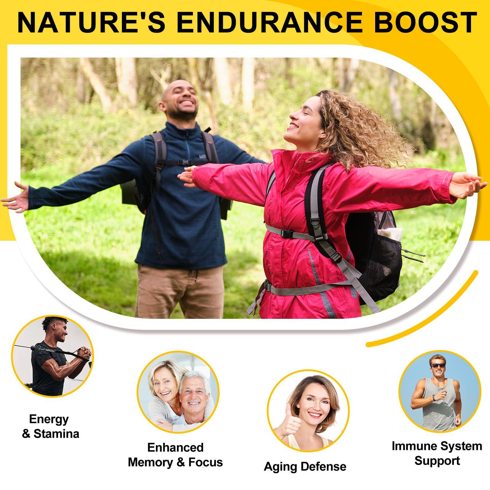 Tamiodfo Shilajit Drops, Natural Shilajit from Himalayan, Shilajit Resin with 85+Trace Minerals and Fulvic Acid, Himilayan Shalajit Resin(60ml)