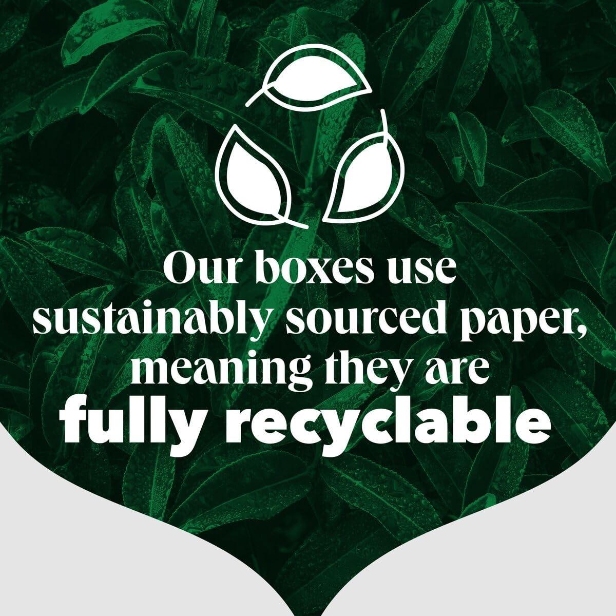 PG Tips PG Tips Loose Black Tea Leaves, Bulk Pack of 12 (Total 960 Cups of Tea)