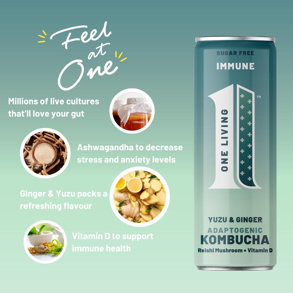 No 1 Living One Living Plus Immune Kombucha Drink - Ginger 24x 250ml Cans - Authentically Brewed Kombucha with Live Cultures - Added Reishi Mushroom and Vitamin D