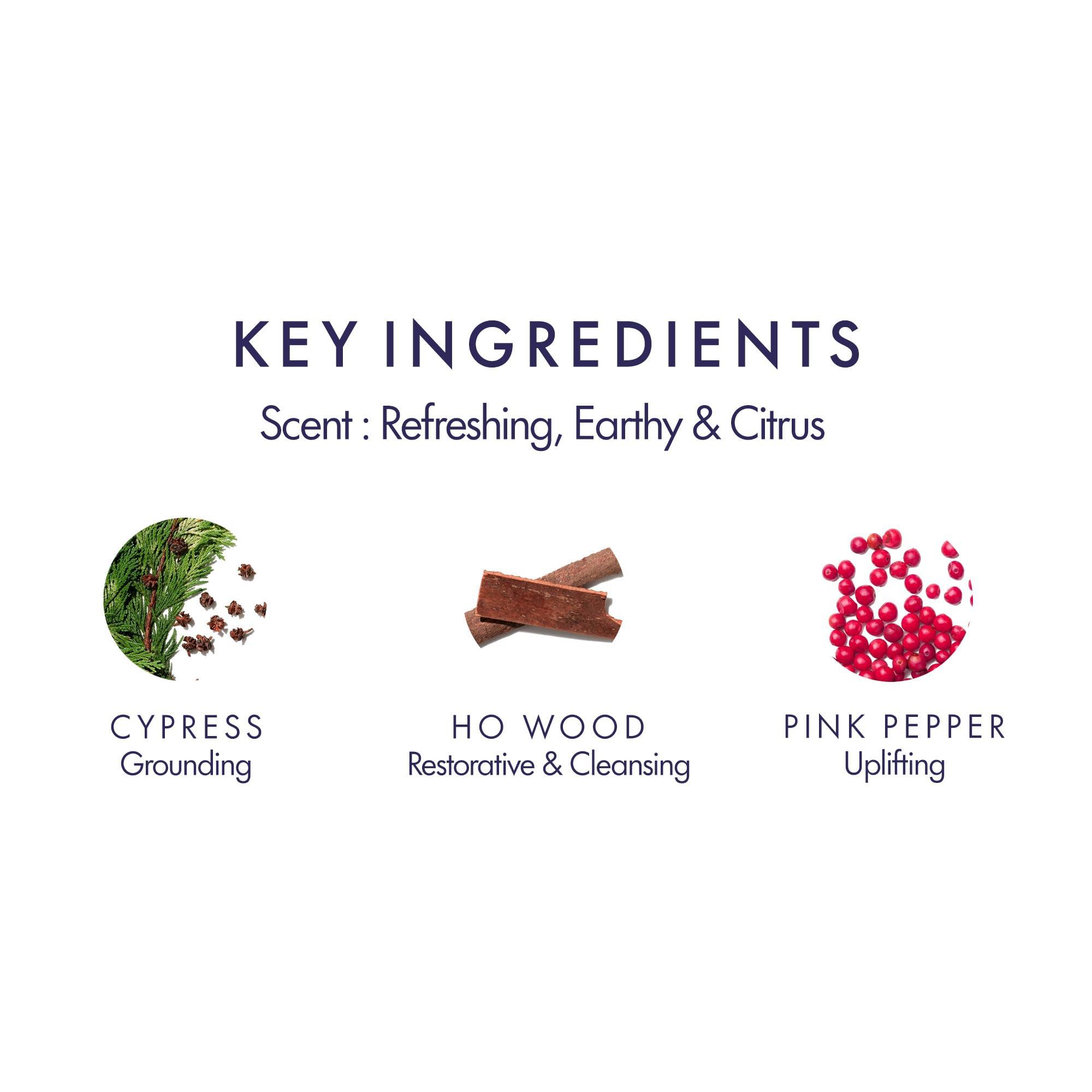 AROMATHERAPY ASSOCIATES Aromatherapy Associates Forest Therapy Pure Essential Oil Blend 10 ml containing uplifting Pink Pepper, Ho Wood and cleansing Juniper Berry, calming Mediterranean Cypress Lemon