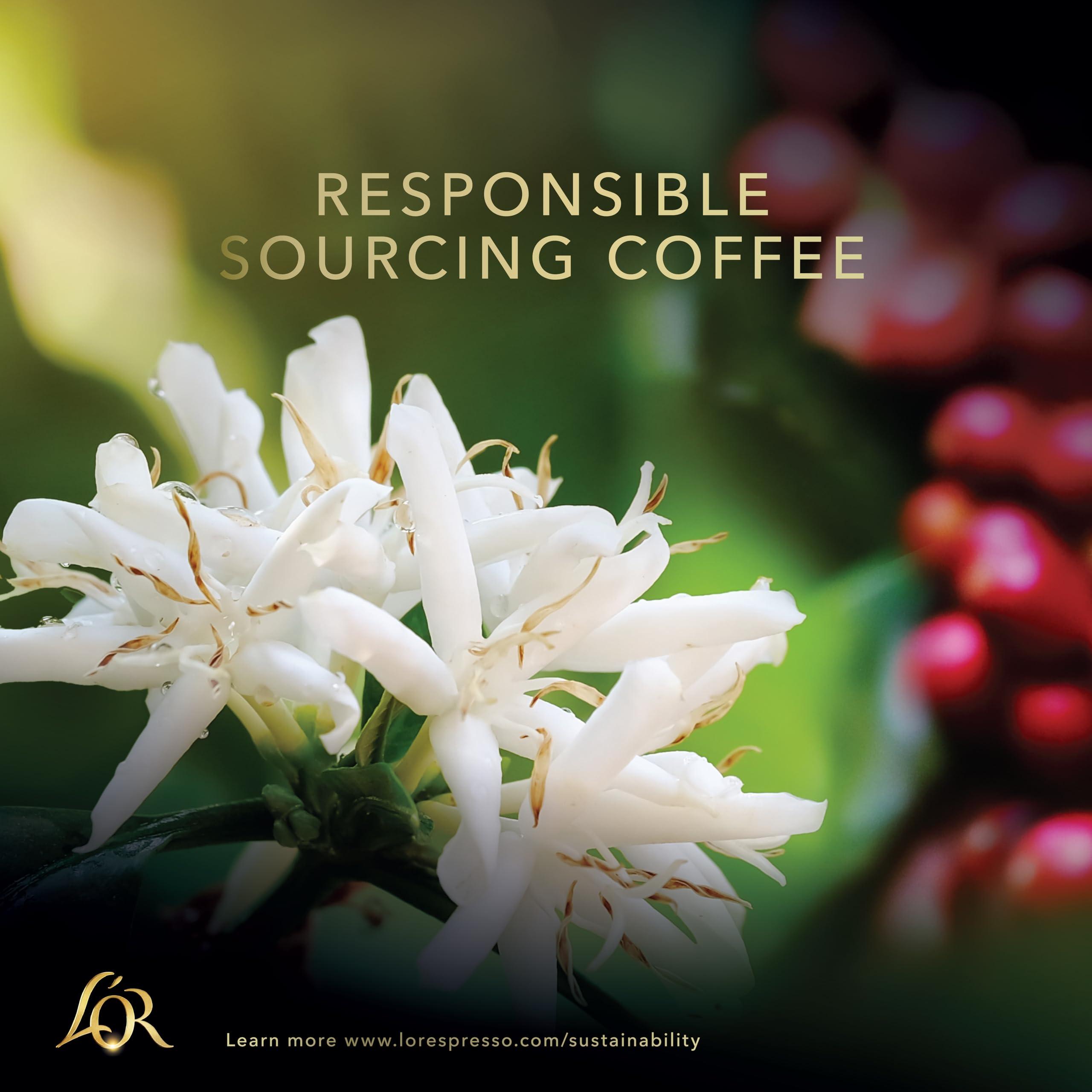 L'OR L'OR Classique Coffee Beans 200g Intensity 6 (4 x 200g, 800g Total)