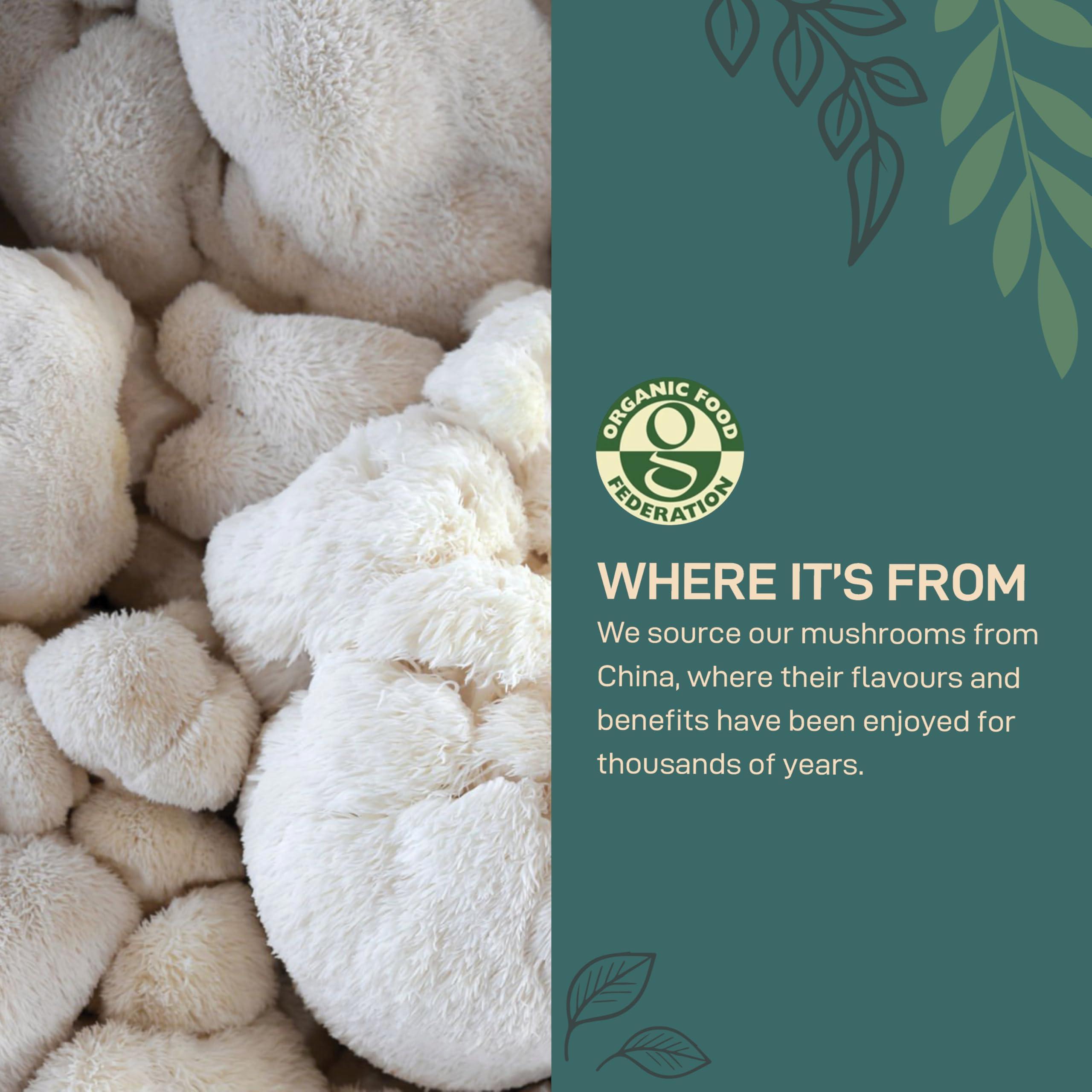 NutriCraft NutriCraft Organic Four Mushroom Blend Powder - 500g - Lion's Mane, Reishi, Cordyceps, Chaga, Vegan, Immune Support, Energy & Brain Health, No Additives or Preservatives