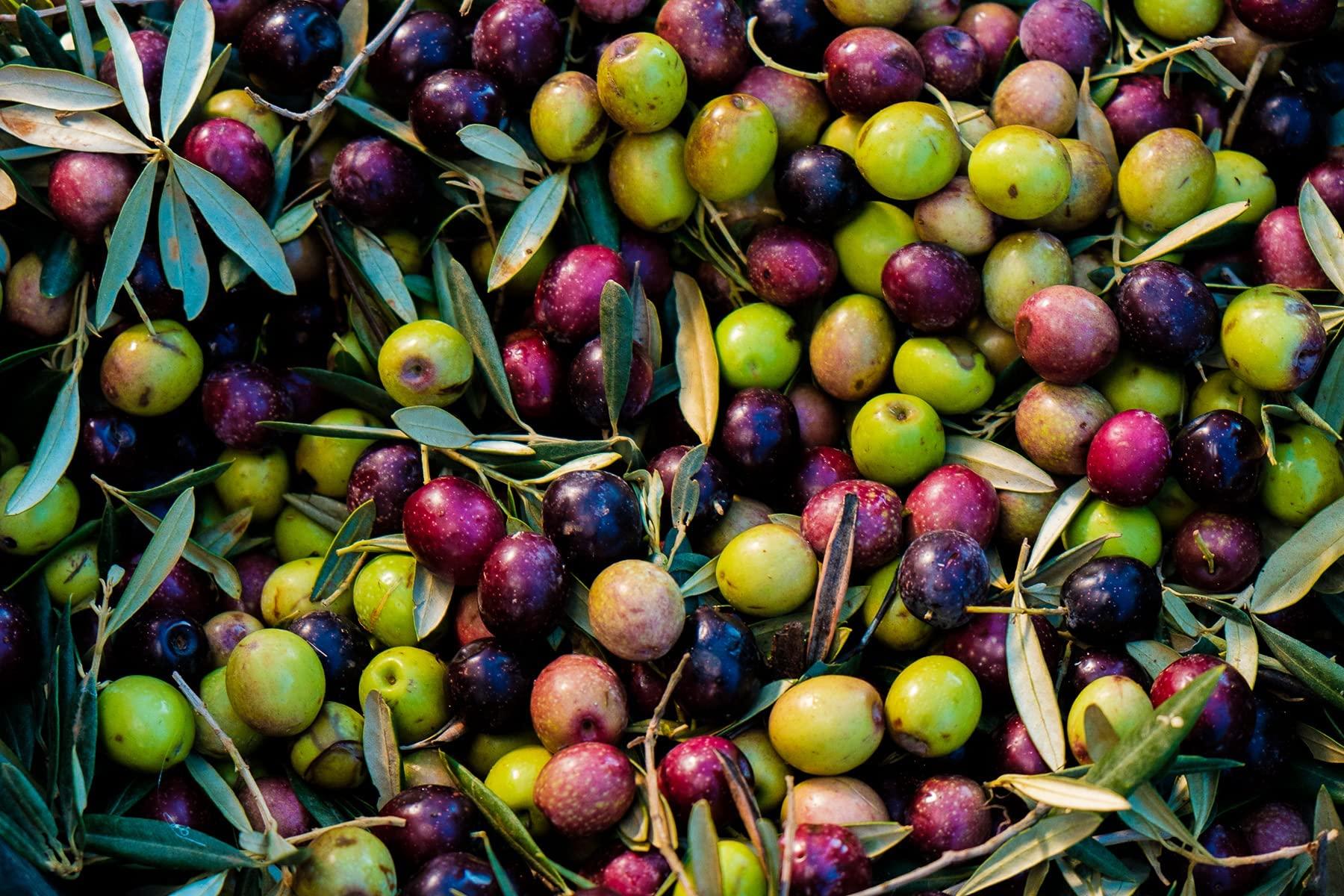 LA ESPAOLA LA ESPAOLA - Extra Virgin Olive Oil Made from 100% Spanish Olives. 5 l Bottle