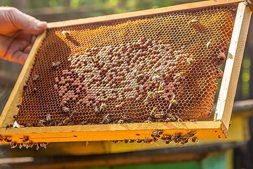 Q honey Pure Raw Honey 1kg Natural Unpasteurised Unfiltered Unheated Forest honey Wildflower Honey