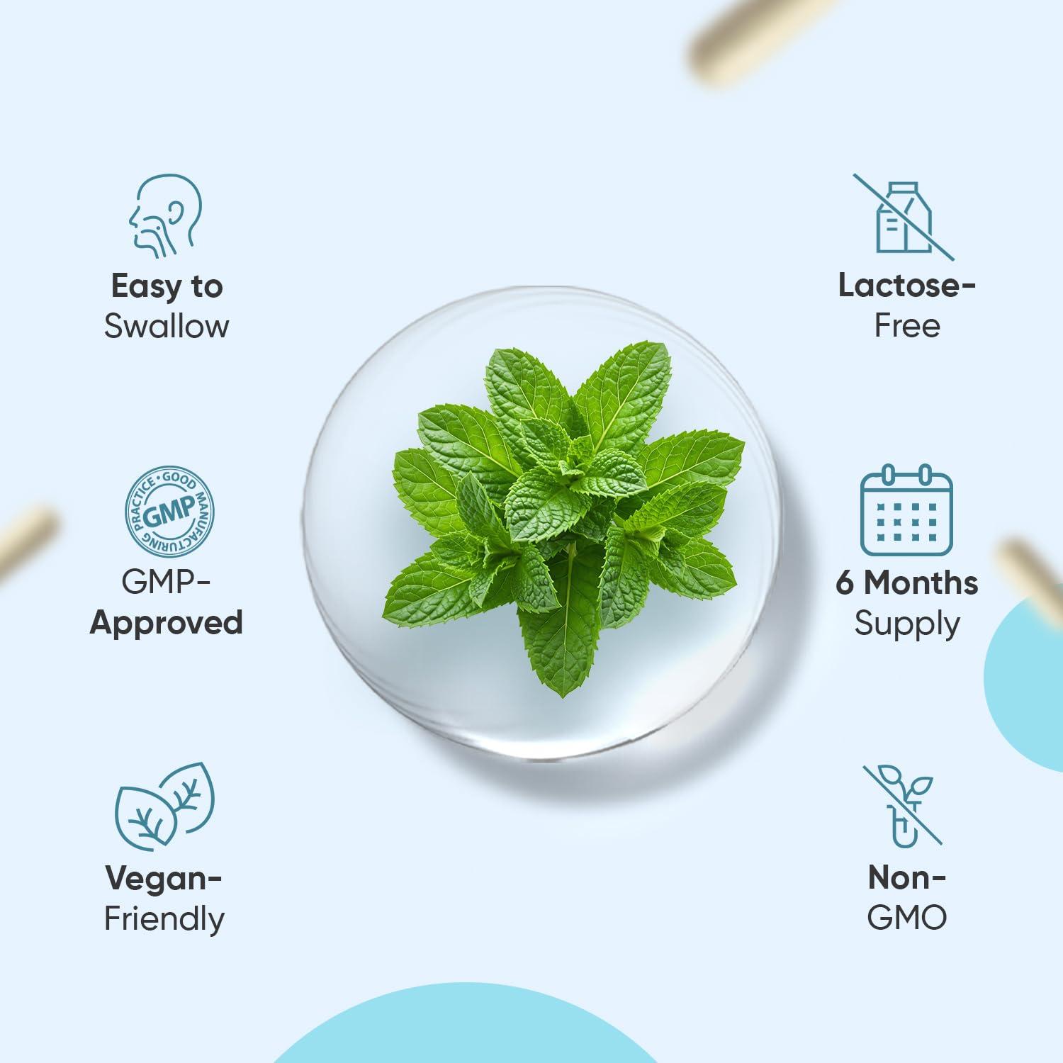 WeightWorld L Theanine with Lemon Balm 500mg - 180 Vegan Capsules - Natural Nootropics L-Theanine Supplements - High Strength L-Theanine Capsules - 6 Months Supply - Alternative to Coffee - Non GMO & Gluten Free