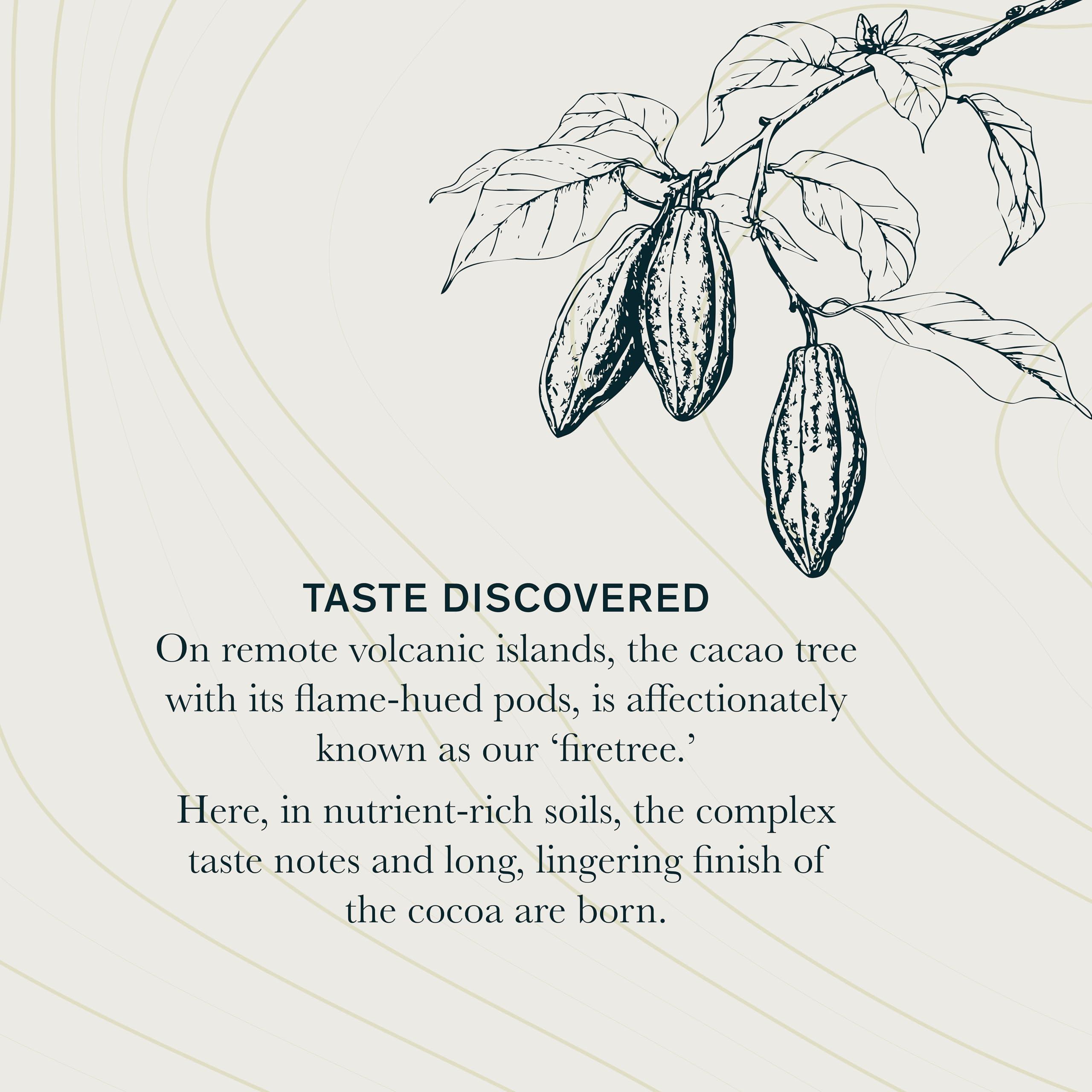 firetree Firetree, Tasting Gift Box (7 x 25g bars)