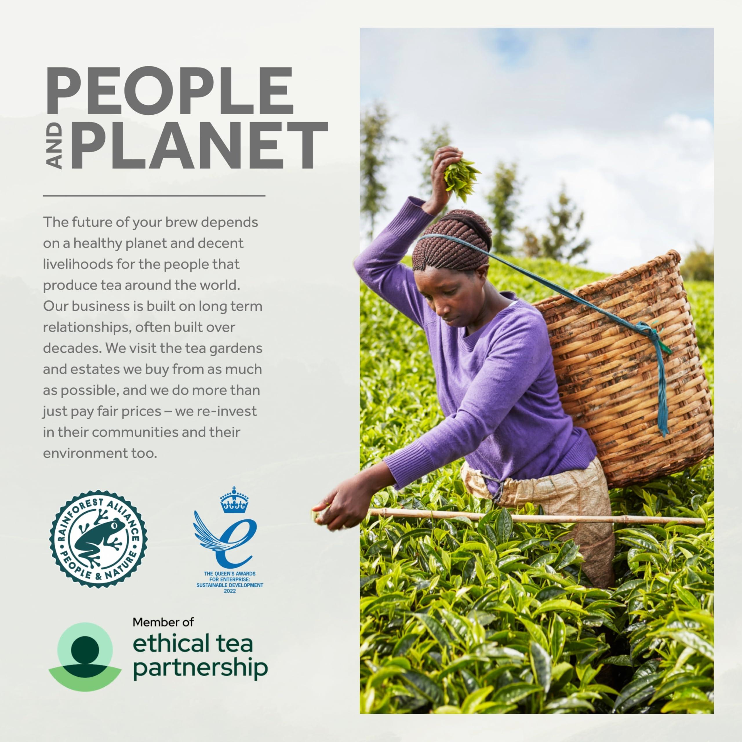 Yorkshire Tea Yorkshire Tea, Total 600 Tea Bags, (Pack of 1.875 kg)